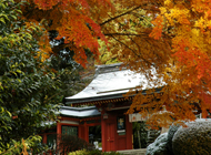 グランドパレス塩釜・塩釜神社02